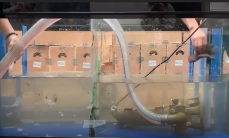 Test pompy z rozdrabniaczem ZWQ 1500